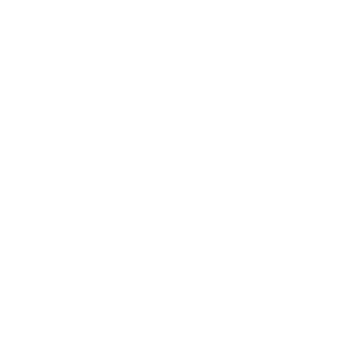 WCA 2010 